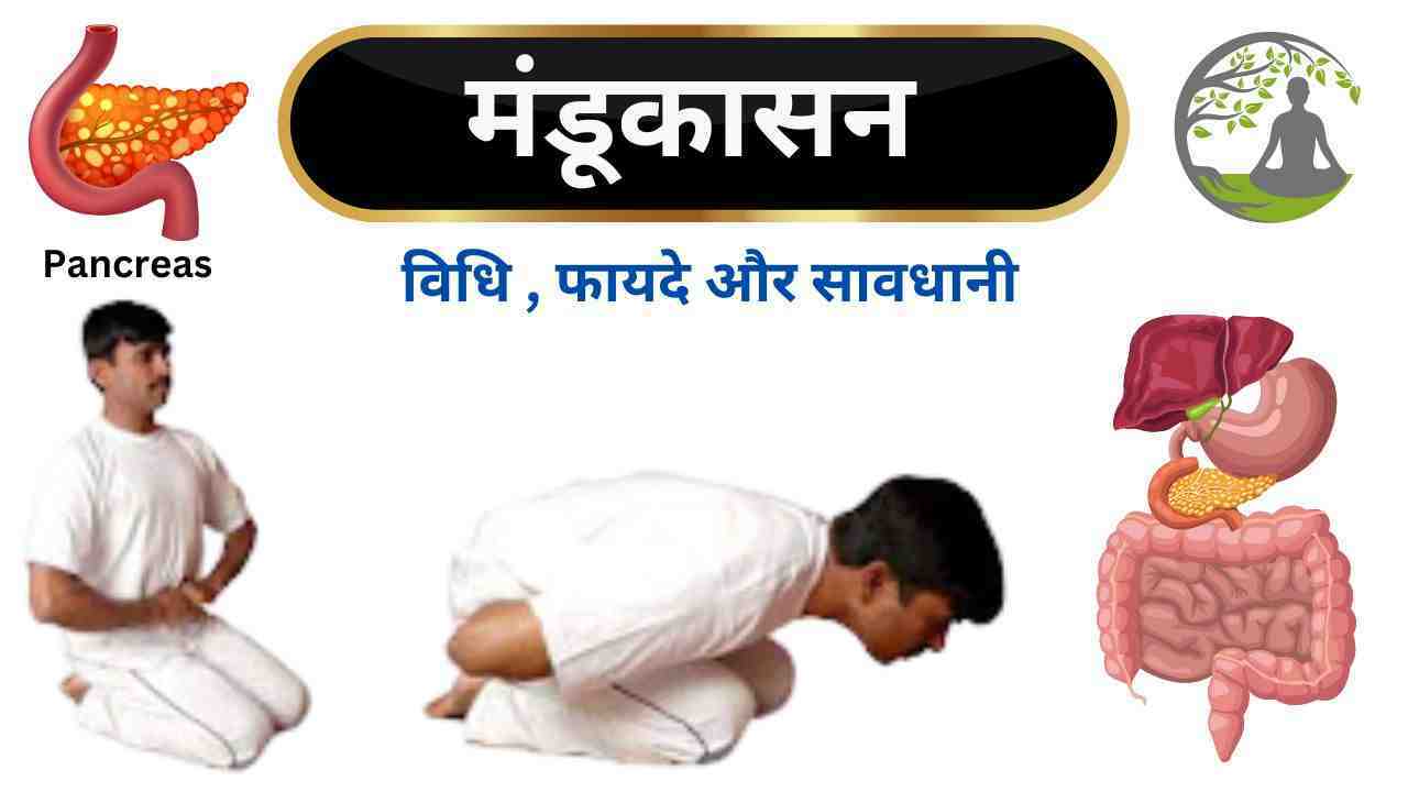 Correct way to do Mandukasana (मंडूकासन) Frog Pose Steps & Benefits | Swami  Ramdev - YouTube