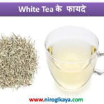 white-tea-health-benefits-in-hindi