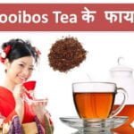 rooibos-tea-health-benefits-in-hindi.html
