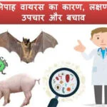nipah-virus-in-hindi.html