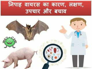 nipah-virus-in-hindi.html