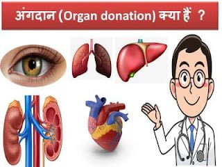 organ-donation-in-hindi