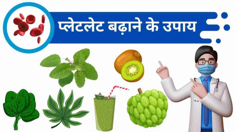 platelet badhane ke upay Hindi