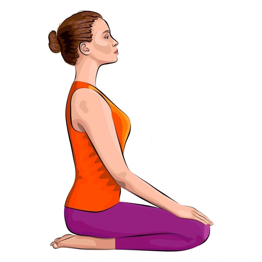 vajrasana yoga in Hindi
