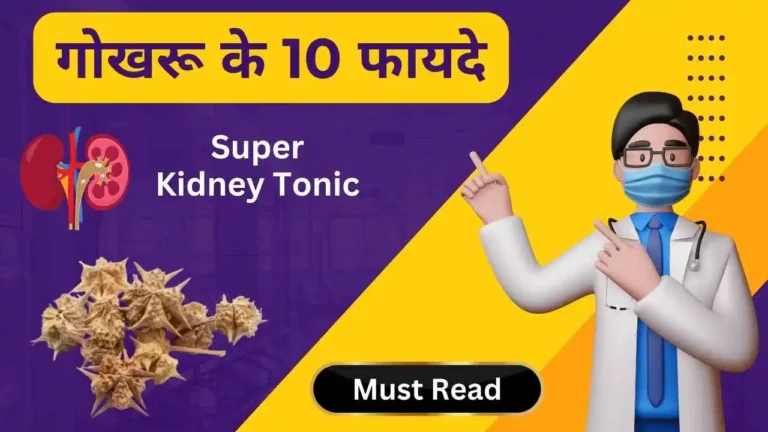 gokhru benefits in Hindi