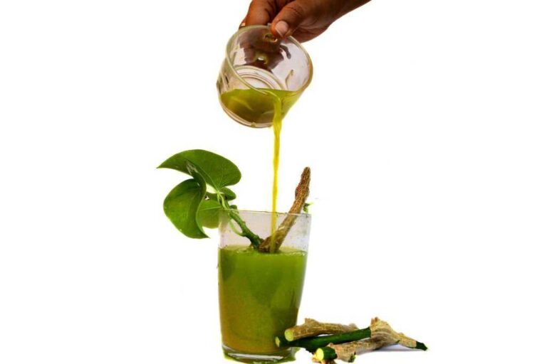 Guduchi uses in Hindi