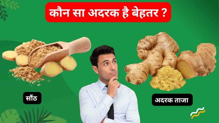 dry ginger benefits in Hindi